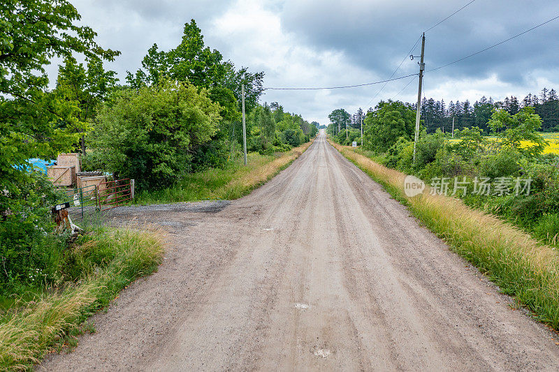 鸟瞰油菜籽田和乡村道路，Bradford West Gwillimbury，加拿大